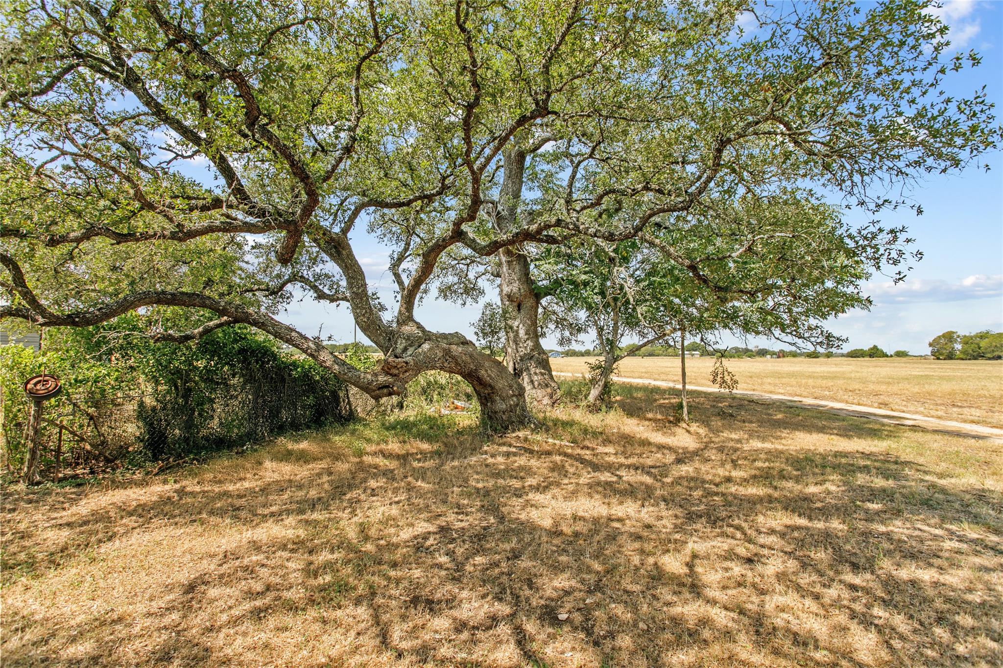 1408 State Park Rd, Lockhart, TX 78644