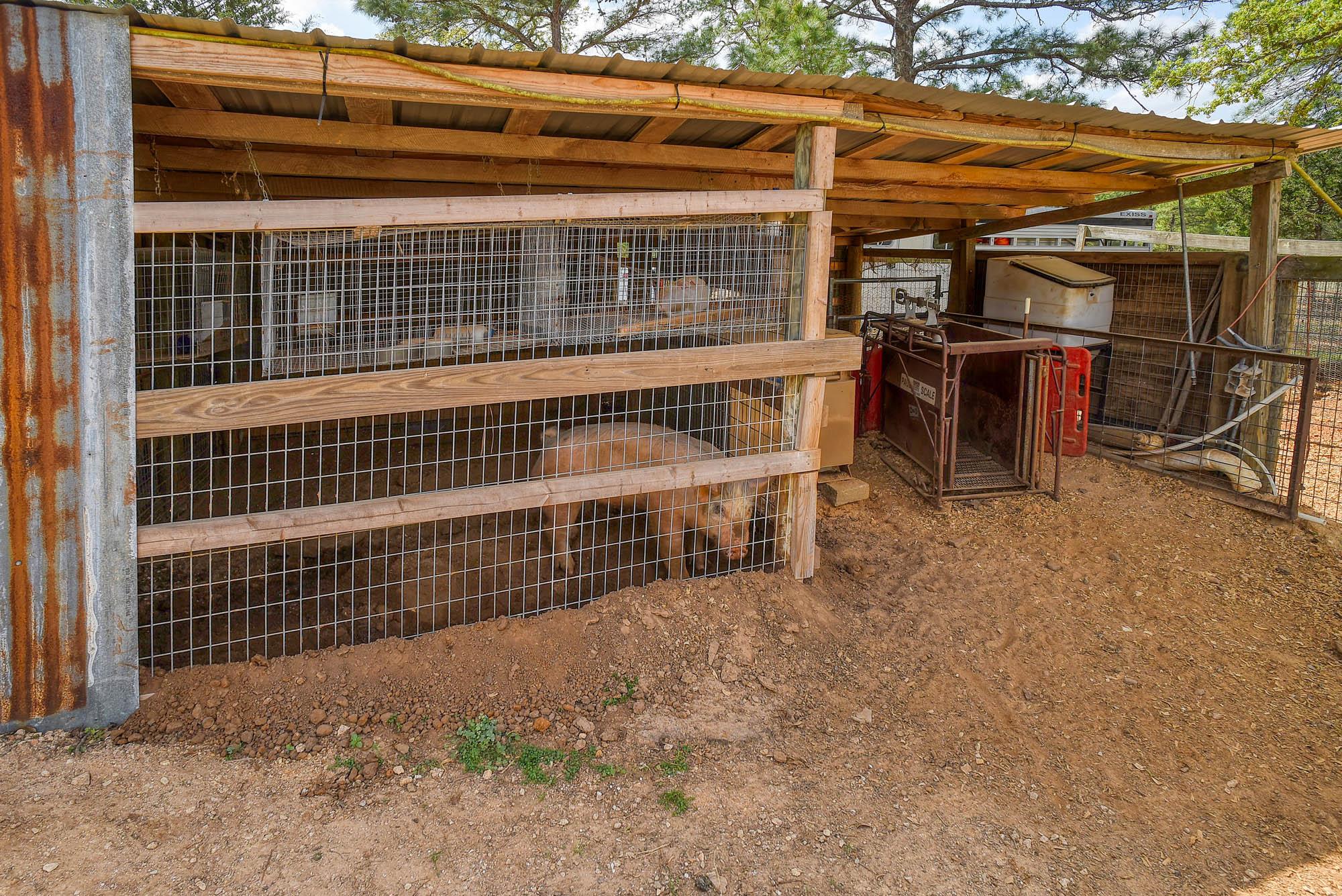 254 Copeland Hill Rd, Smithville, TX 78957