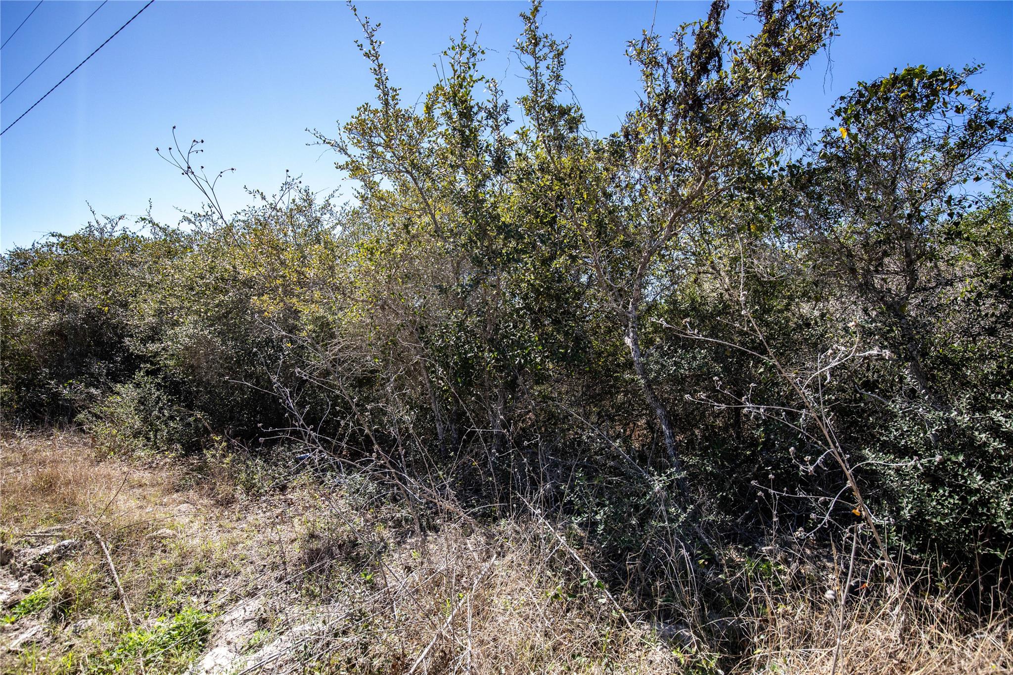 Blk A Tr 13 Rhodes Ave, Aransas Pass, TX 78368