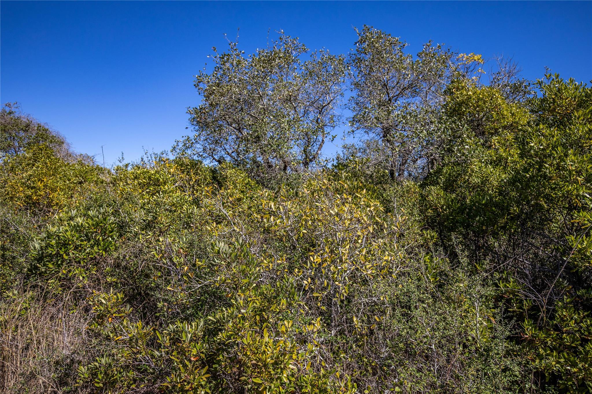 Blk A Tr 13 Rhodes Ave, Aransas Pass, TX 78368