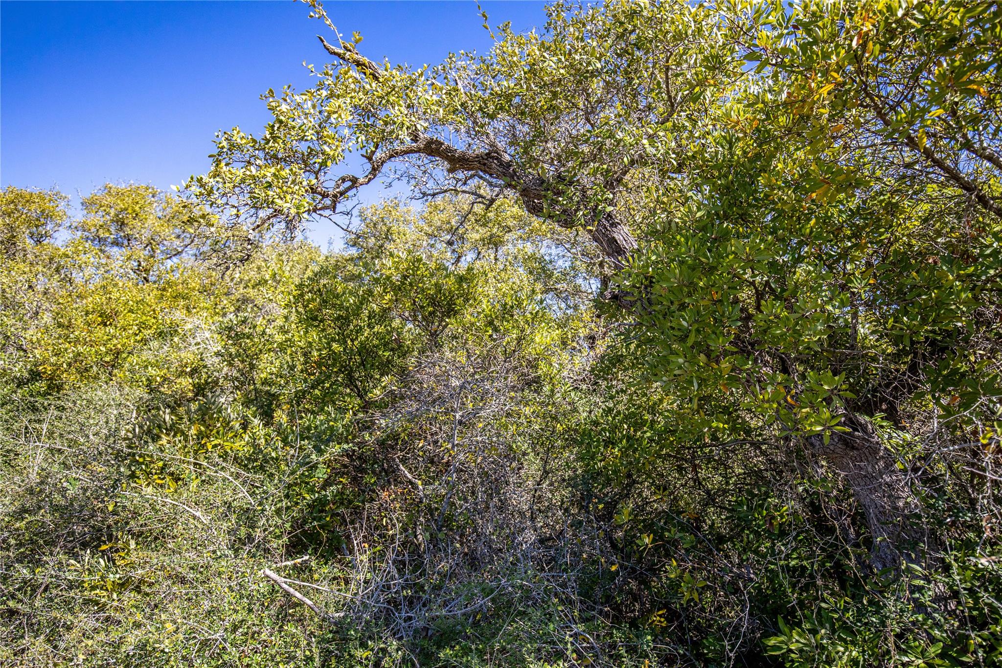 Blk A Tr 13 Rhodes Ave, Aransas Pass, TX 78368