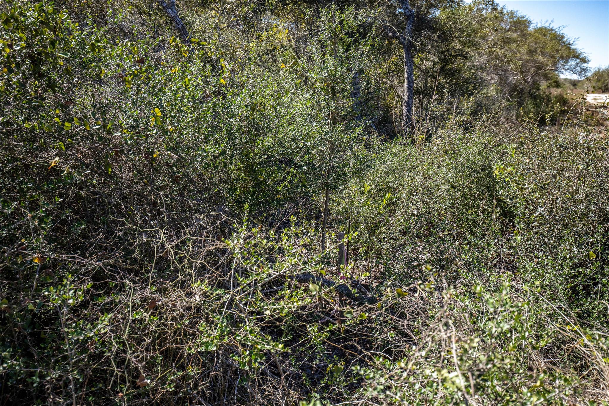 Blk A Tr 13 Rhodes Ave, Aransas Pass, TX 78368