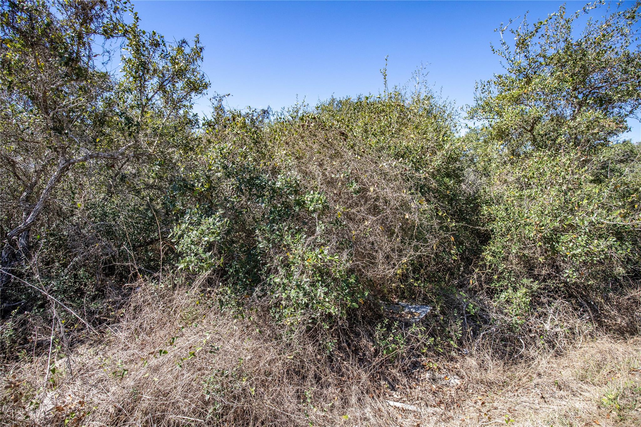 Blk A Tr 13 Rhodes Ave, Aransas Pass, TX 78368