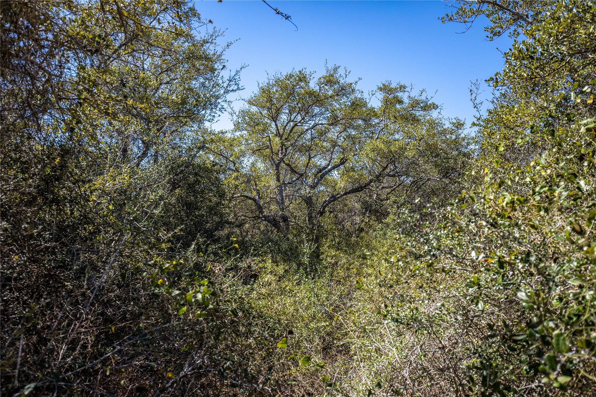 Blk A Tr 13 Rhodes Ave, Aransas Pass, TX 78368