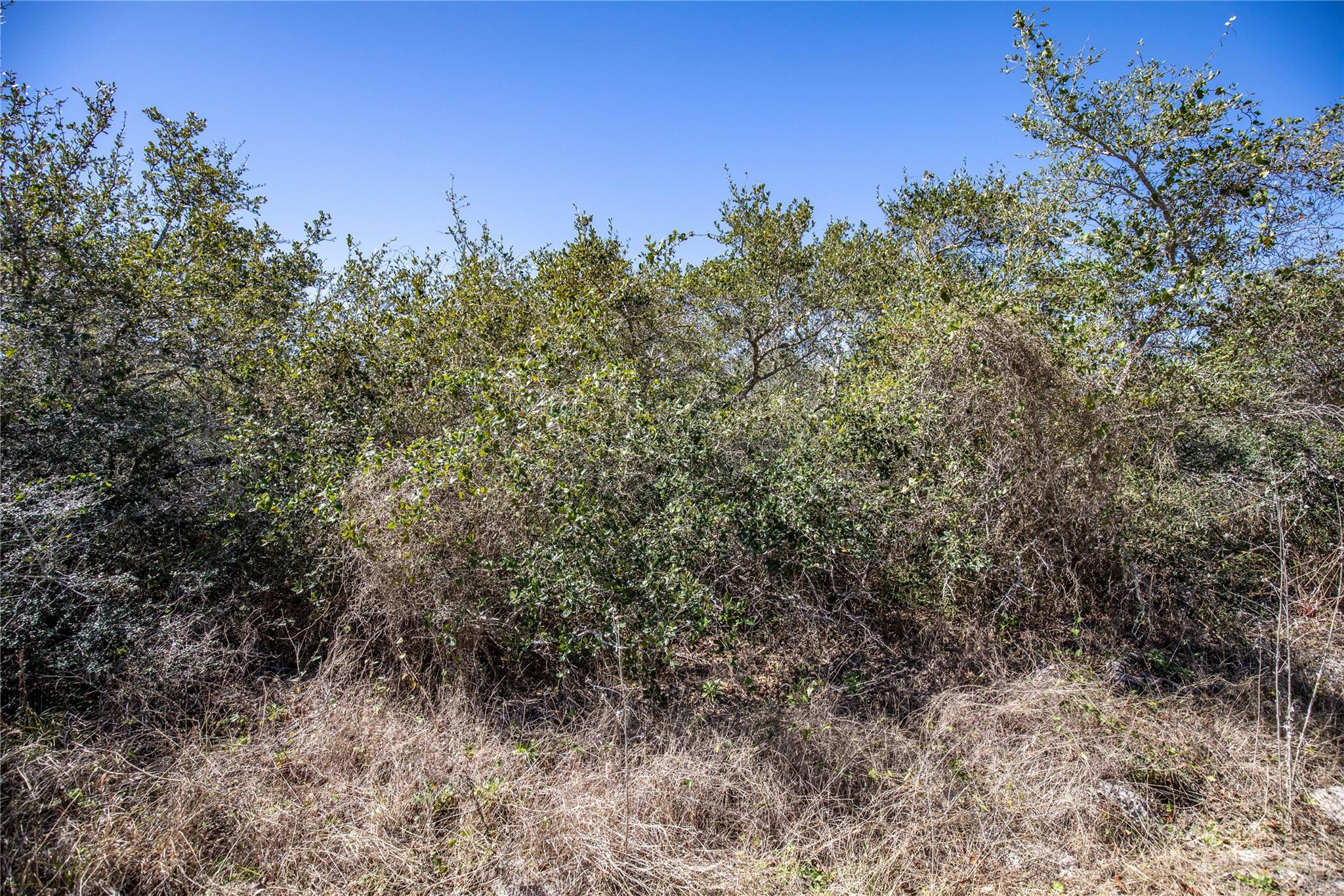 Blk A Tr 13 Rhodes Ave, Aransas Pass, TX 78368