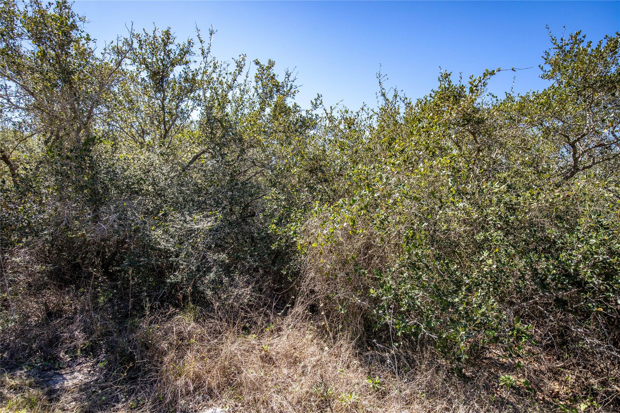 Blk A Tr 13 Rhodes Ave, Aransas Pass, TX 78368