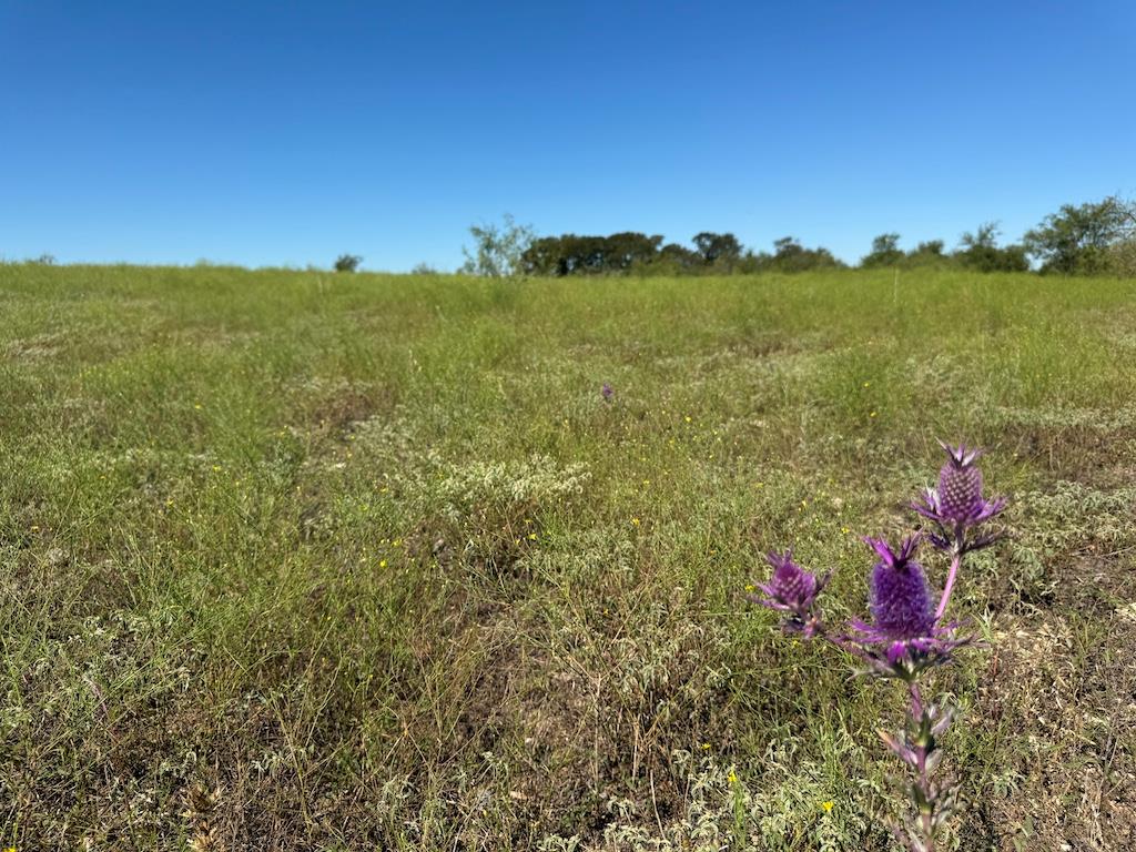 10.15 AC FM 2409 Rd, Temple, TX 76504