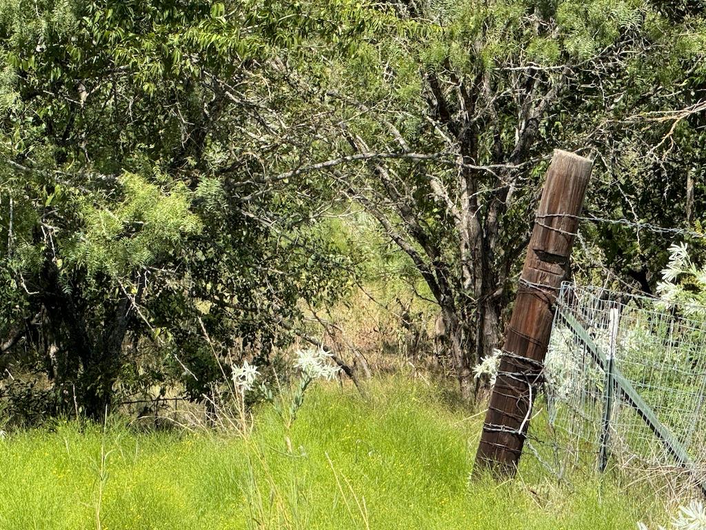 10.15 AC FM 2409 Rd, Temple, TX 76504