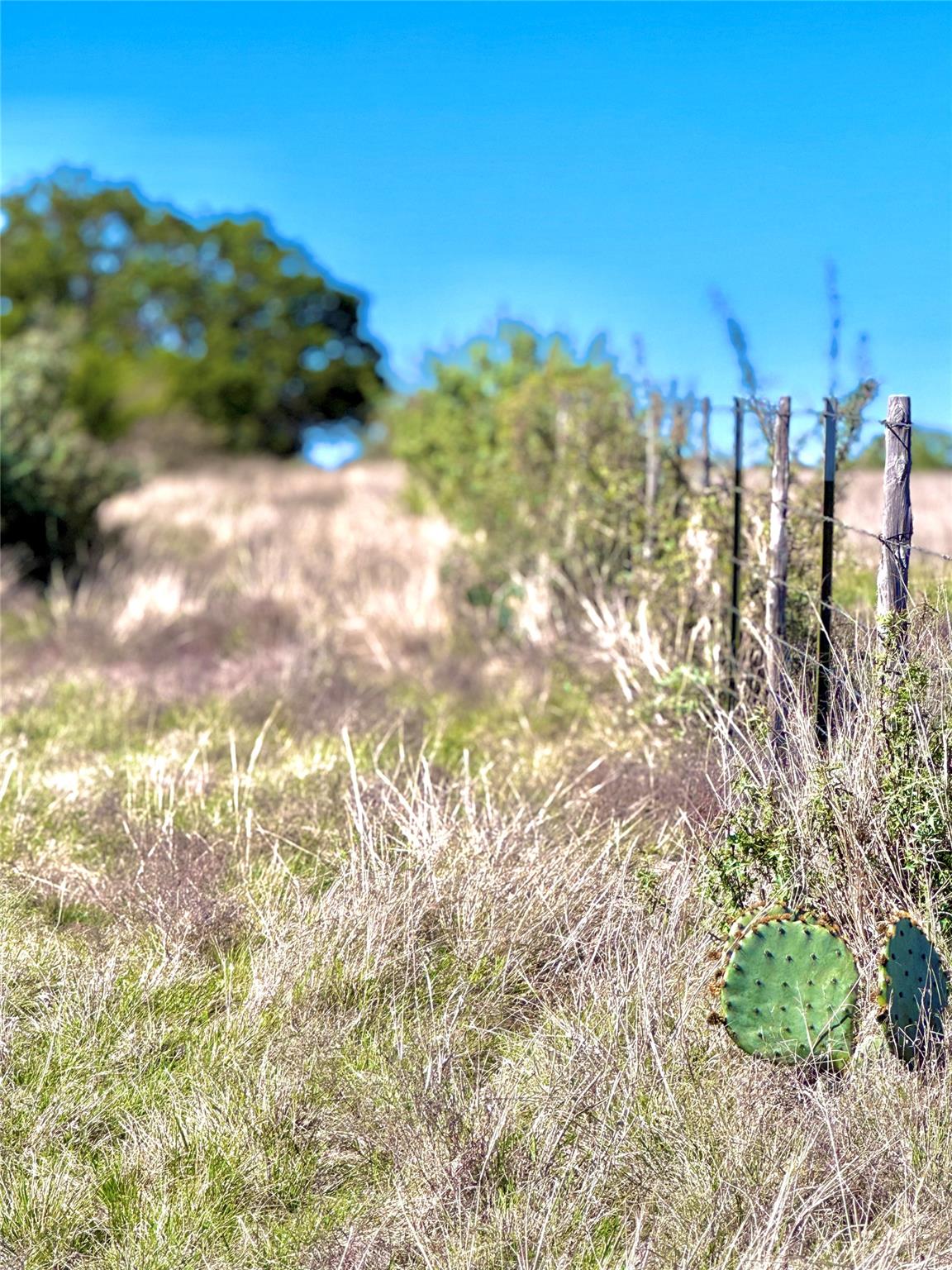 TBD Tract 19 Buckskin Path, Morris Ranch, TX 78624