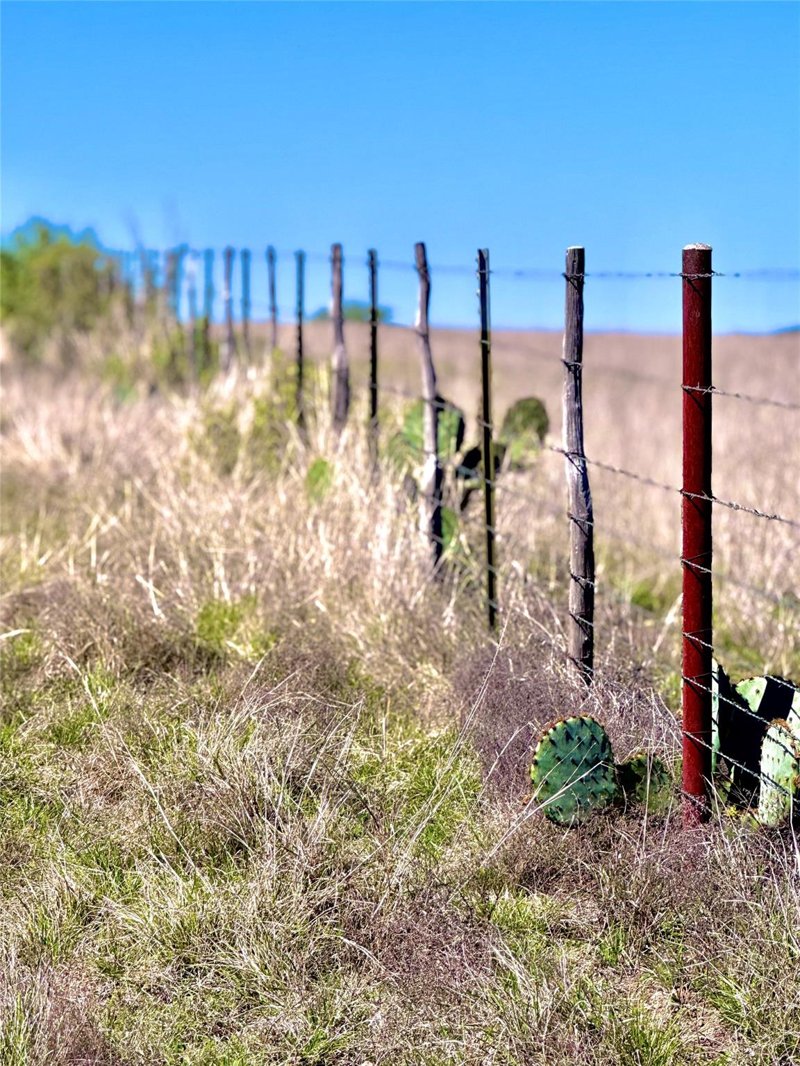 TBD Tract 19 Buckskin Path, Morris Ranch, TX 78624