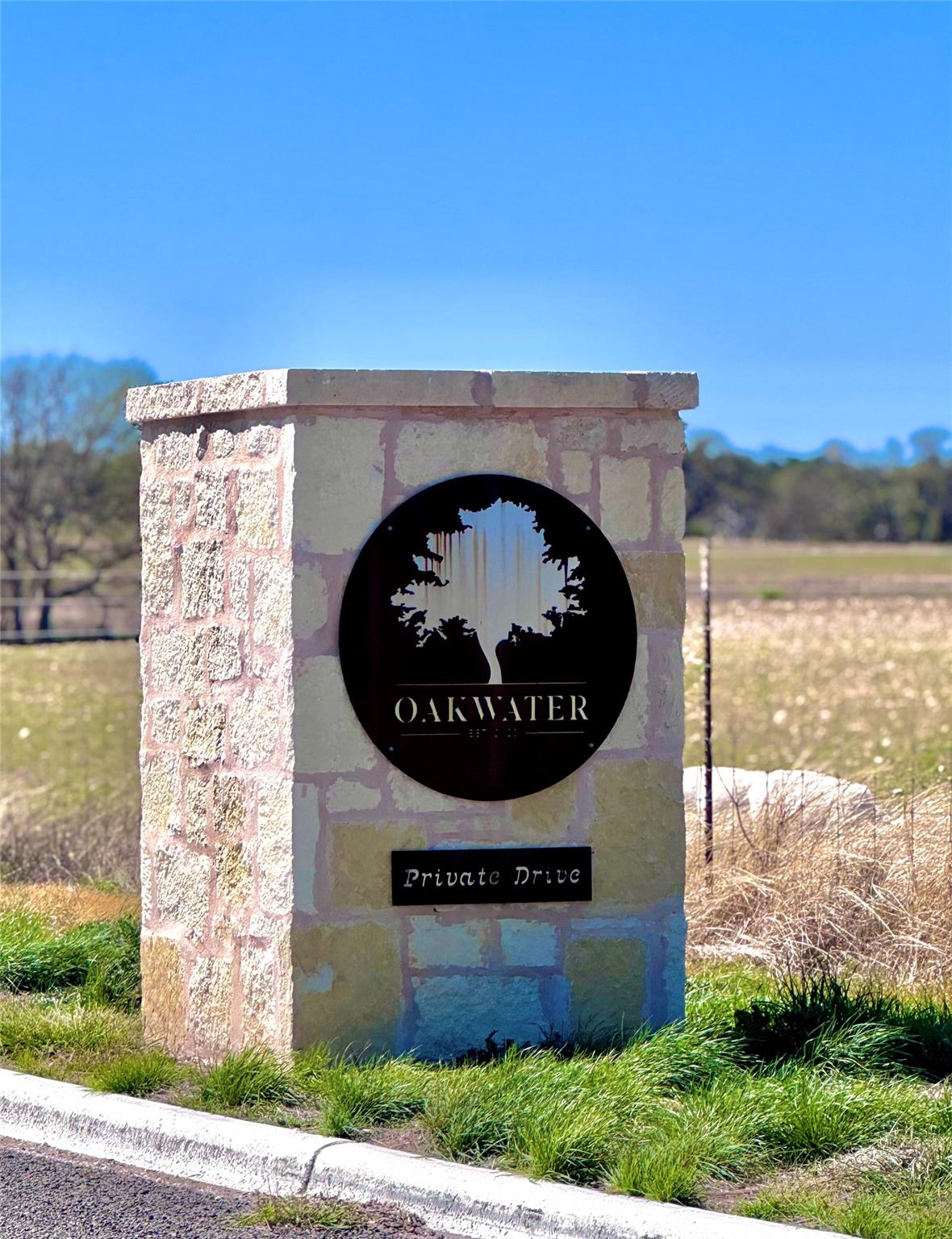 TBD Tract 19 Buckskin Path, Morris Ranch, TX 78624