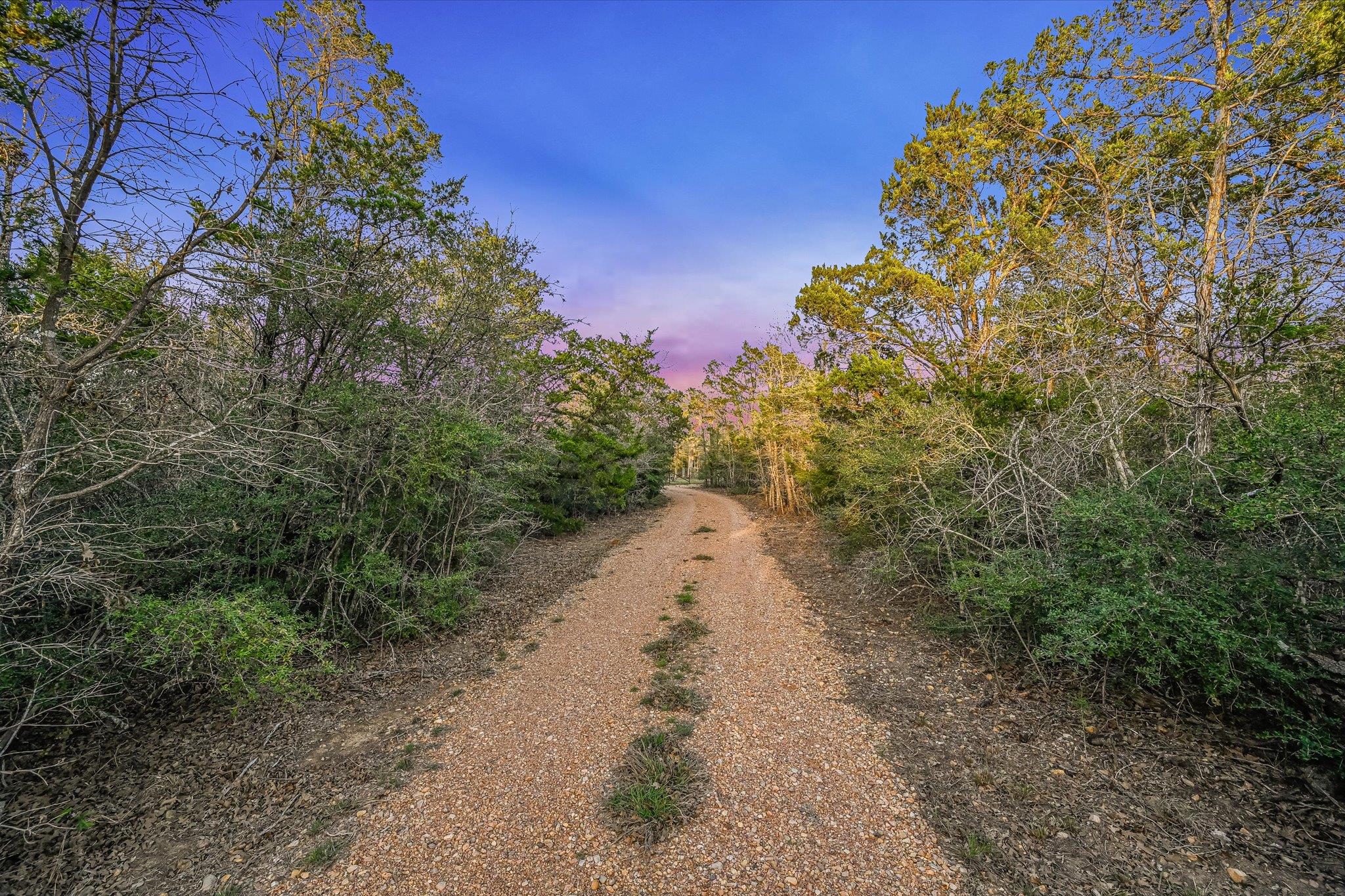 853 Saint Delight Rd, Paige, TX 78659