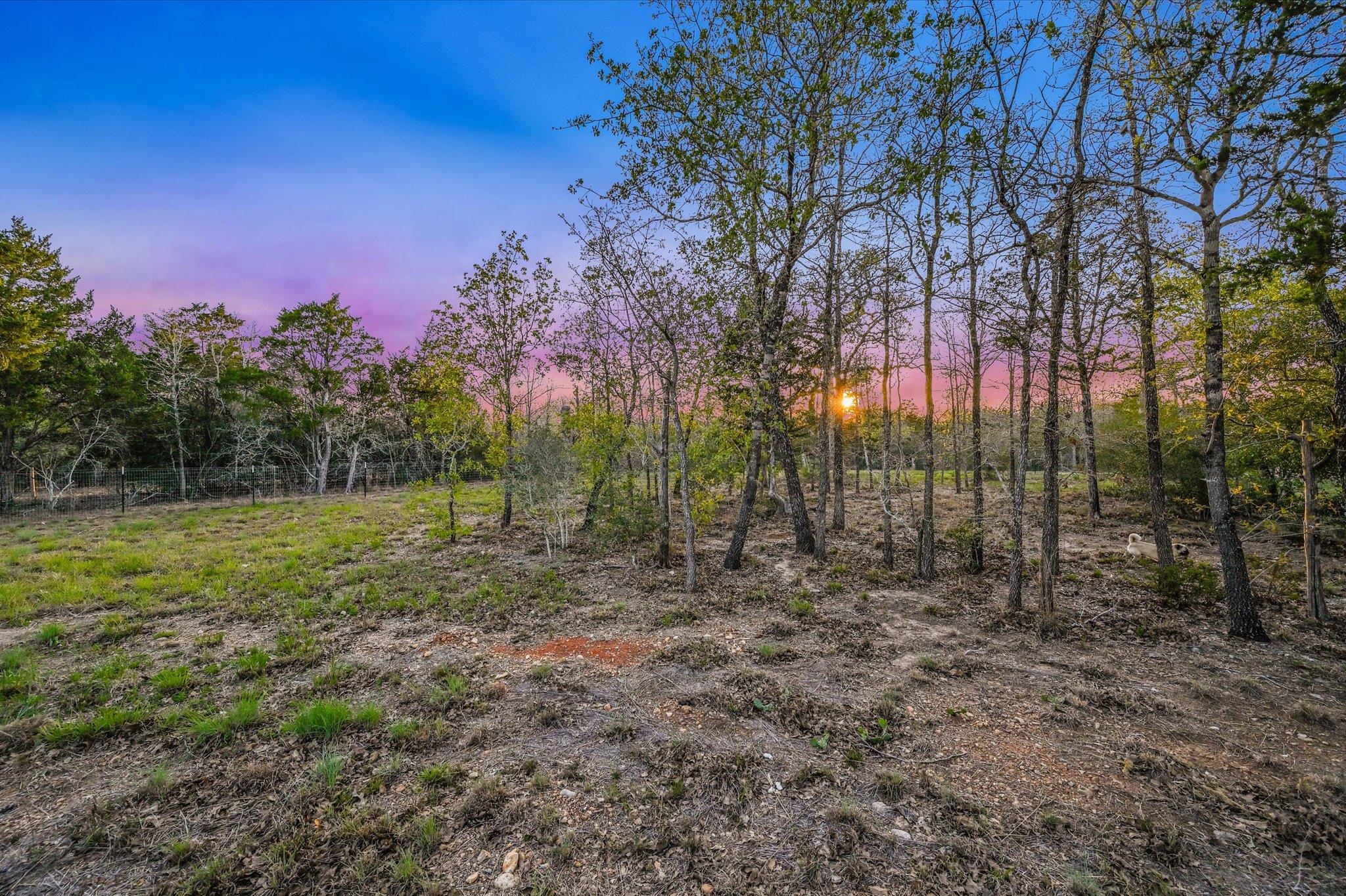 853 Saint Delight Rd, Paige, TX 78659