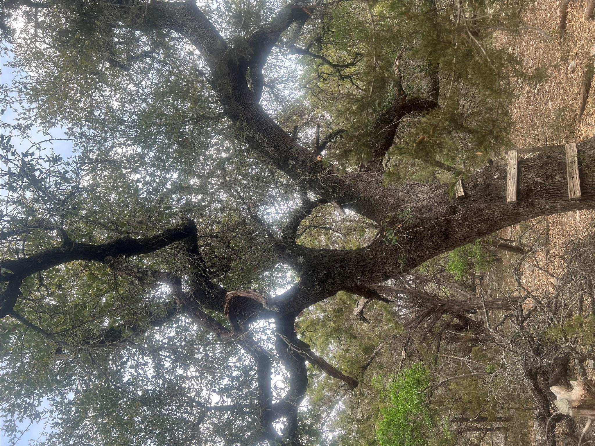 701 Grande St # B, Driftwood, TX 78619