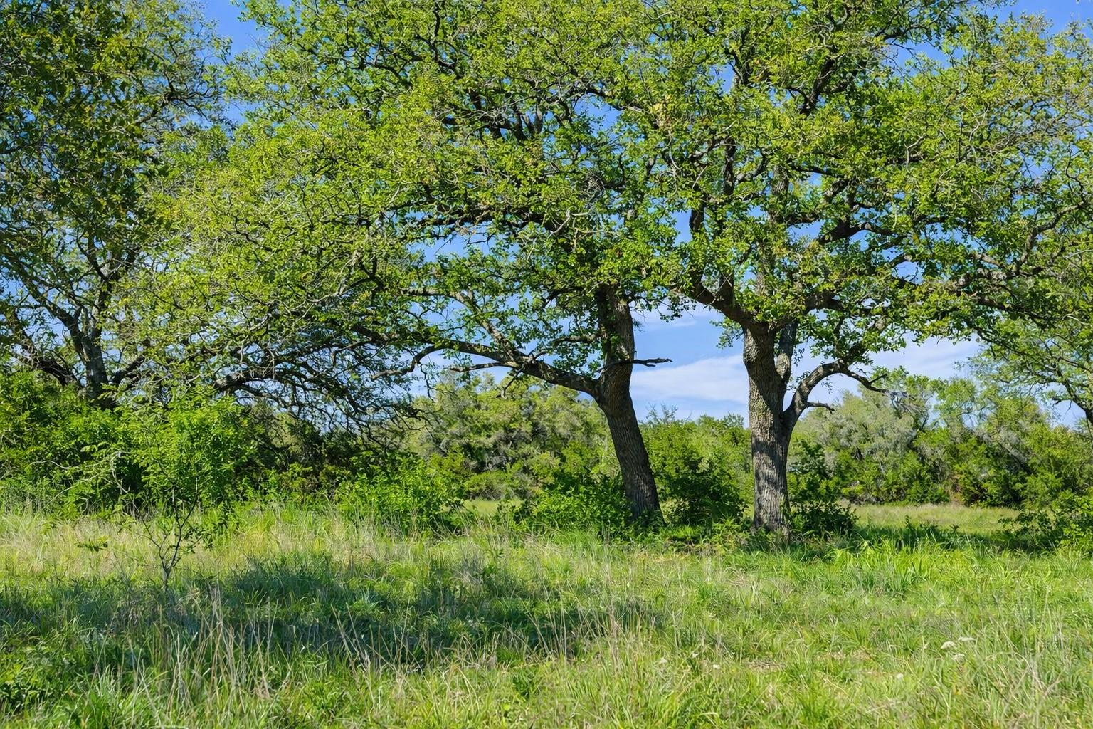 0 Lone Star Oak Rnch, Johnson City, TX 78636