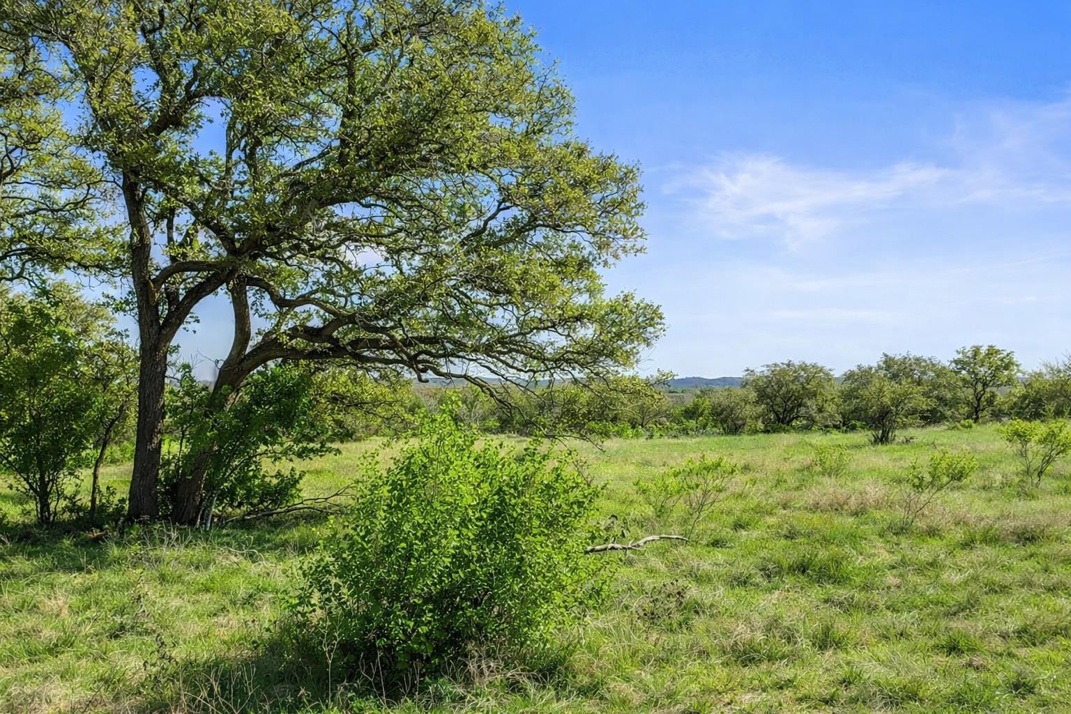 0 Lone Star Oak Rnch, Johnson City, TX 78636