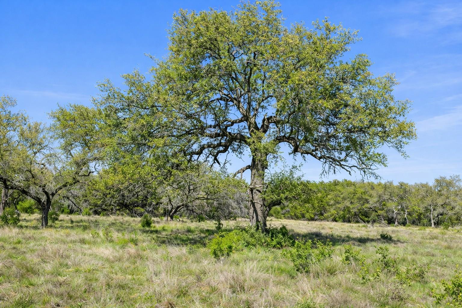 0 Lone Star Oak Rnch, Johnson City, TX 78636