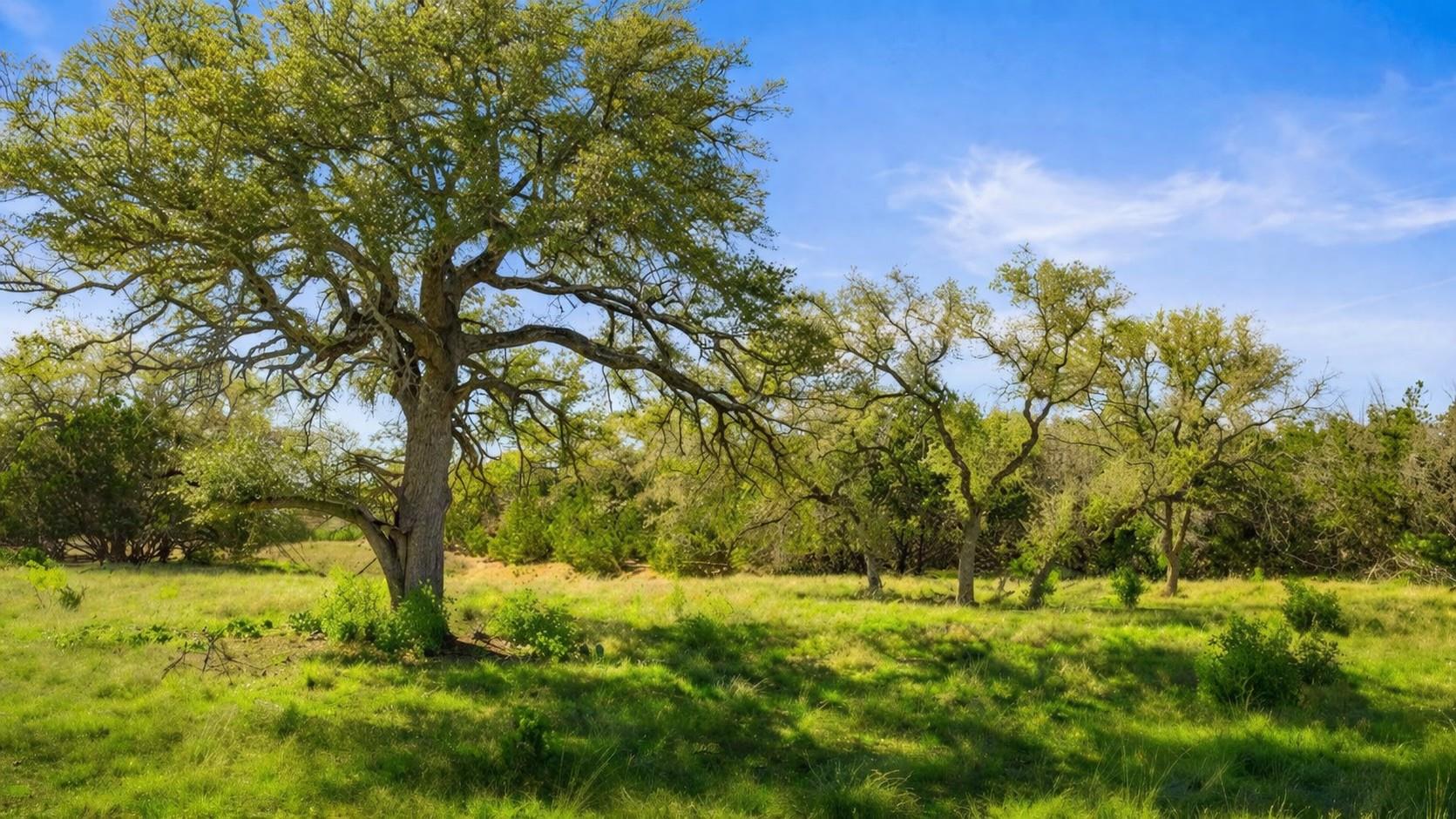 0 Lone Star Oak Rnch, Johnson City, TX 78636