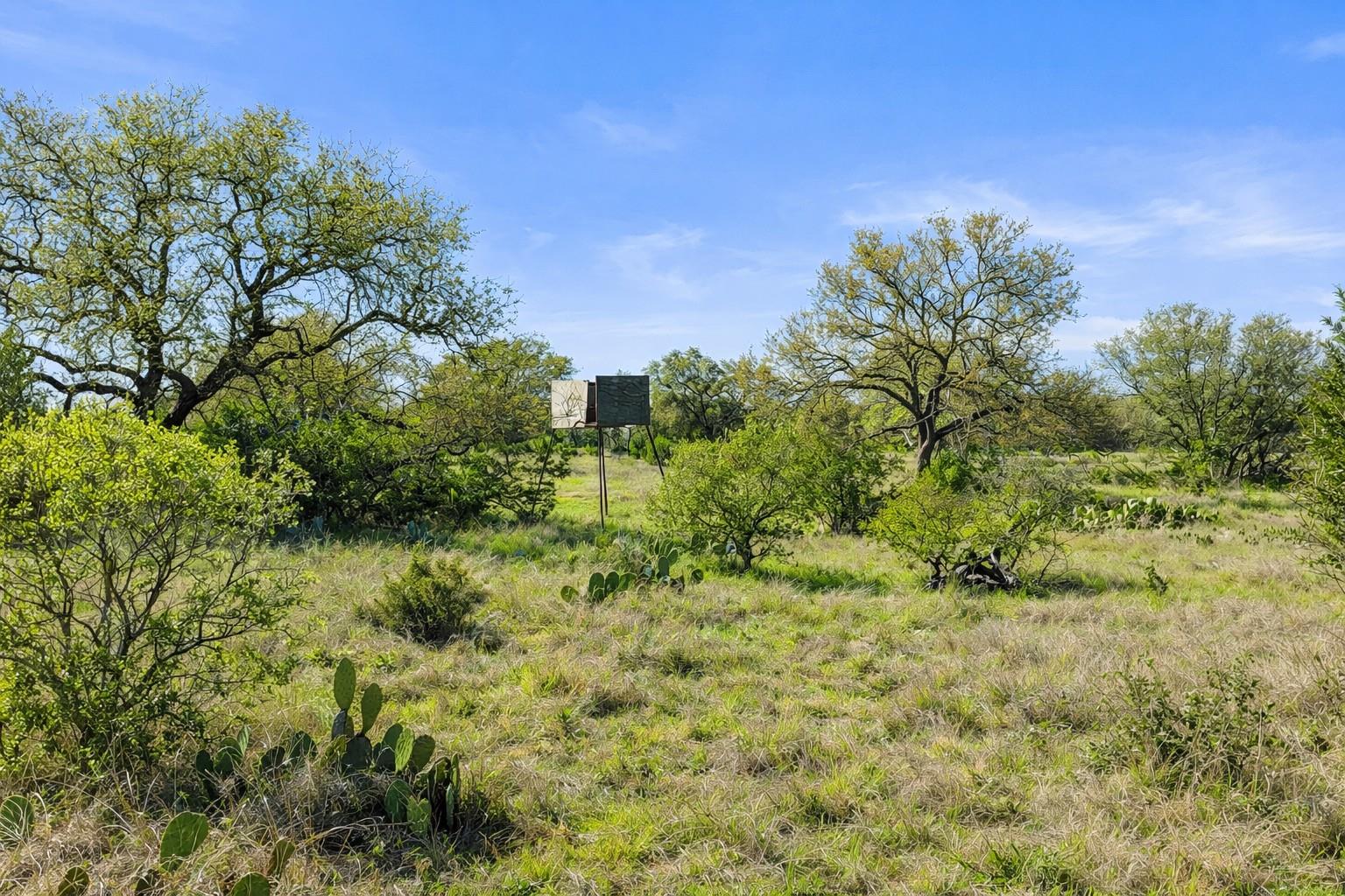 0 Lone Star Oak Rnch, Johnson City, TX 78636