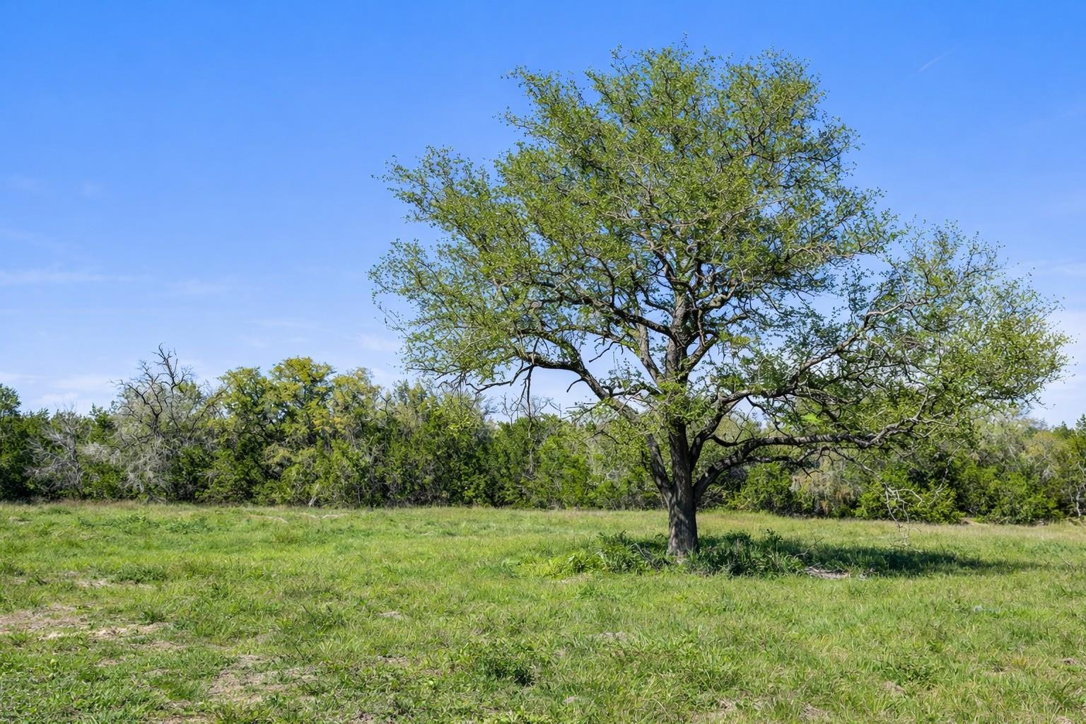 0 Lone Star Oak Rnch, Johnson City, TX 78636