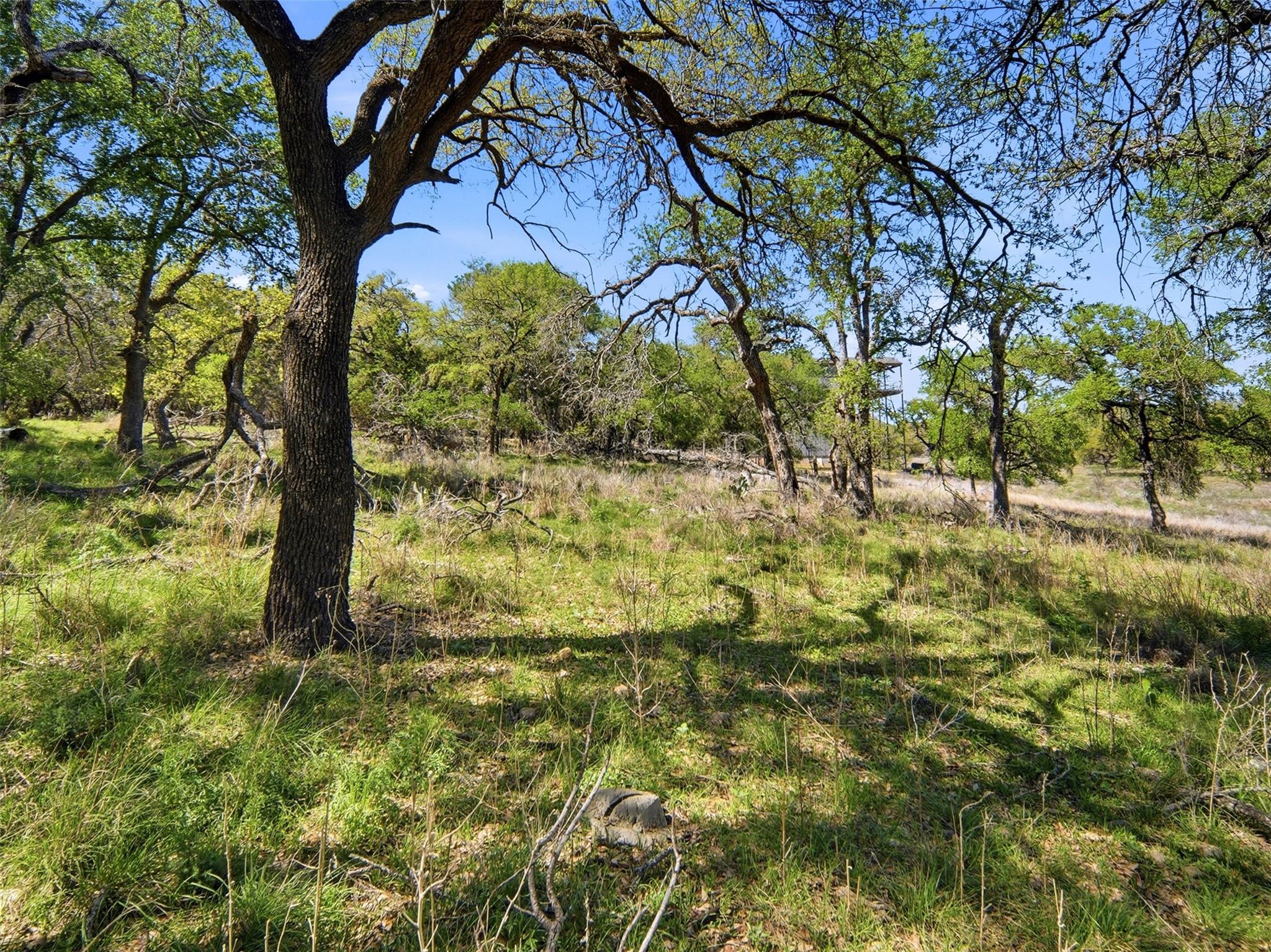 1309 Emerald Rd, Lago Vista, TX 78645