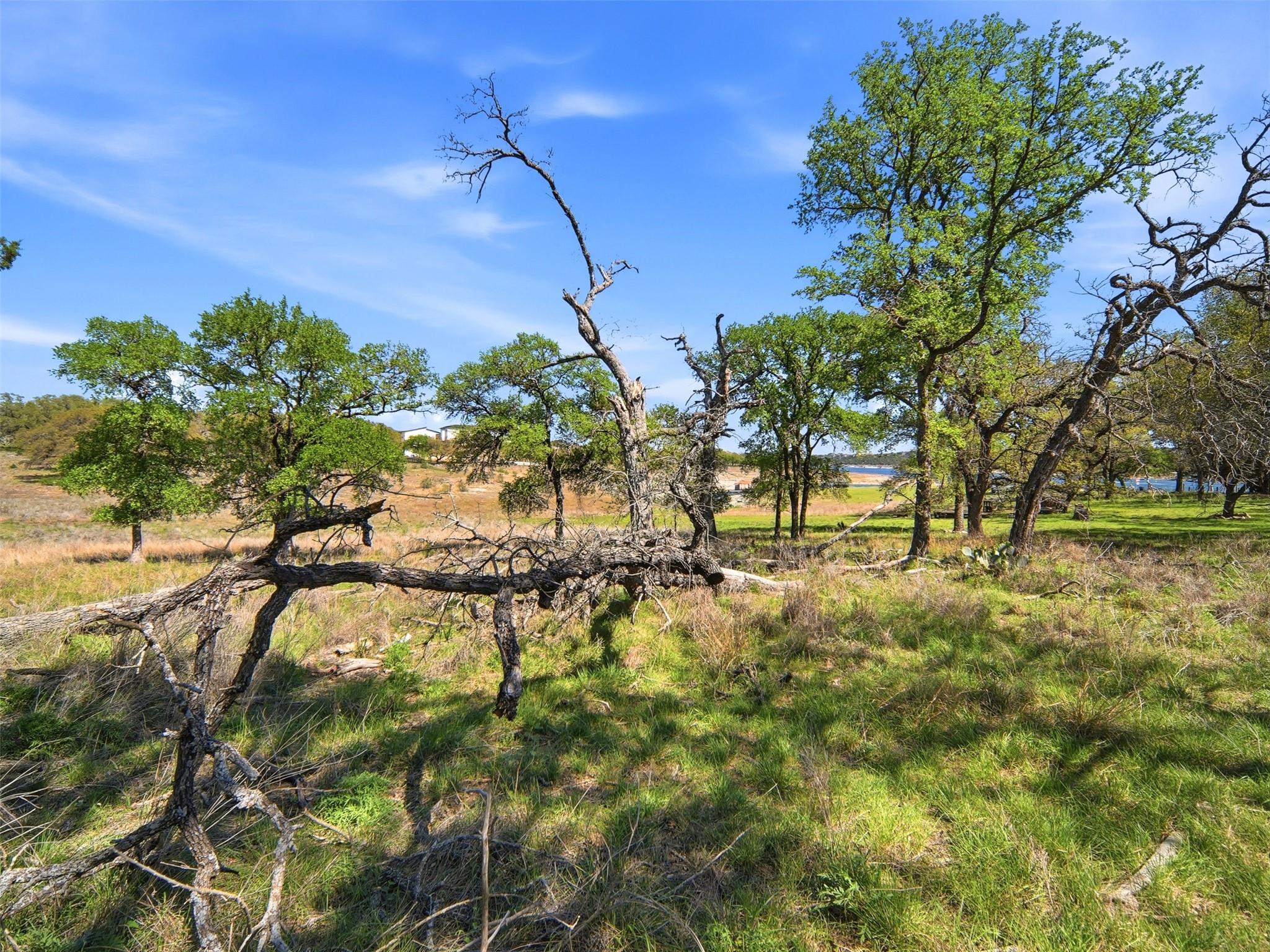 1309 Emerald Rd, Lago Vista, TX 78645