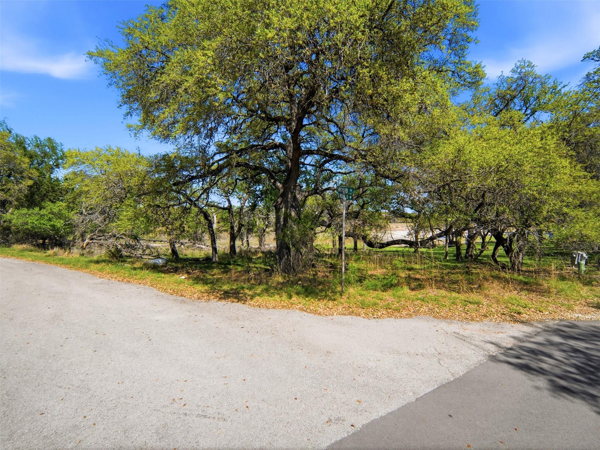 1309 Emerald Rd, Lago Vista, TX 78645