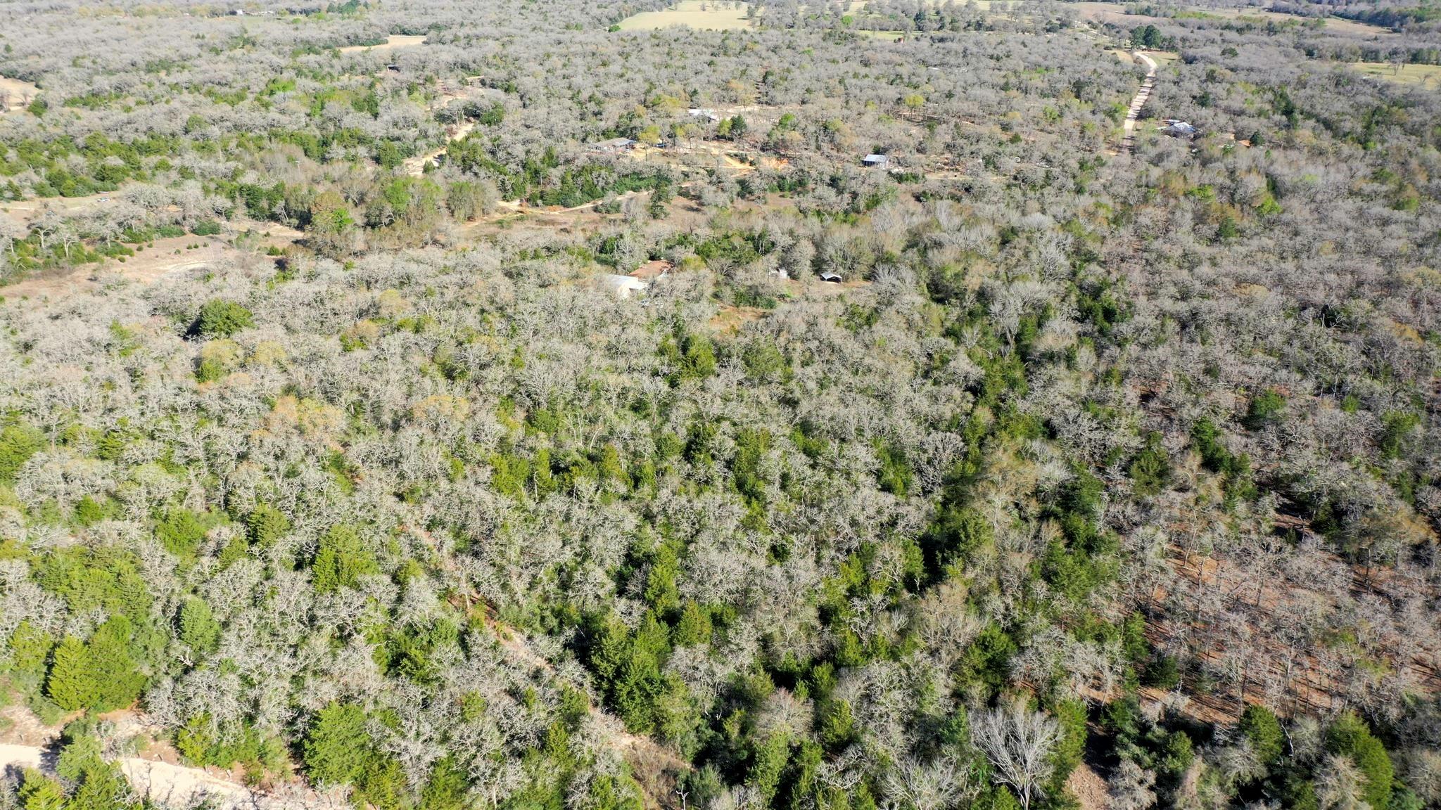 6615 County Road 308, Caldwell, TX 77836