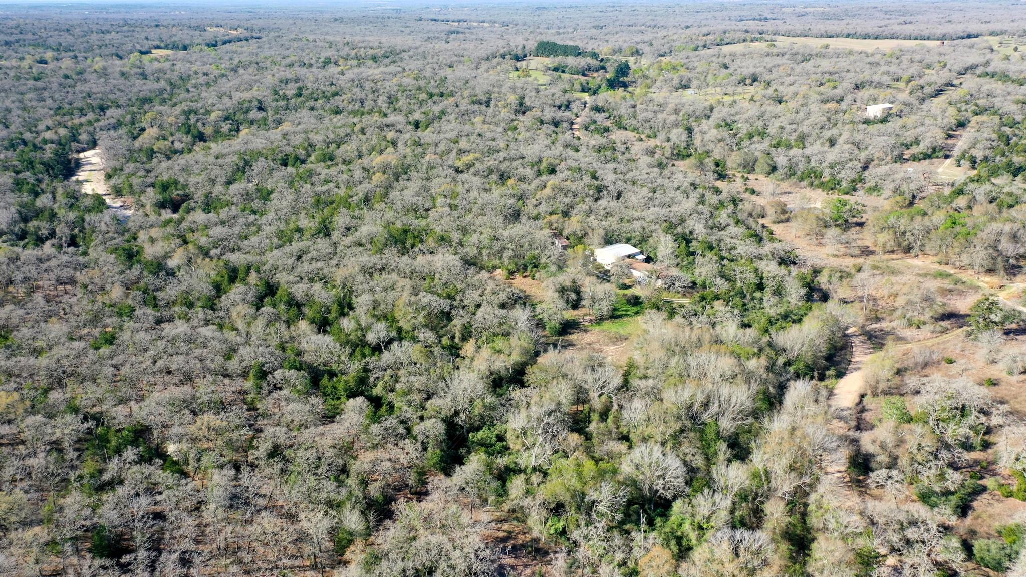 6615 County Road 308, Caldwell, TX 77836