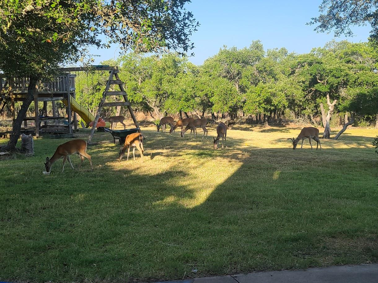 1610 County Road 262, Georgetown, TX 78633