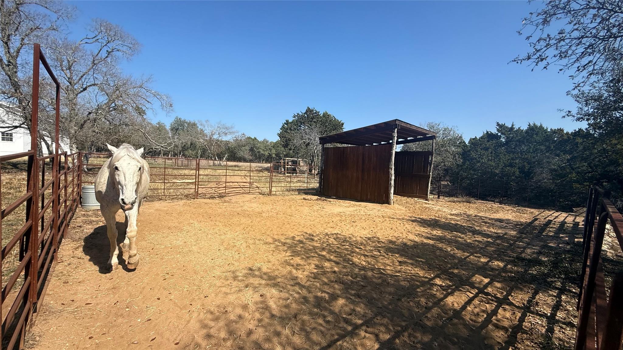 801 Butler Ranch Rd, Dripping Springs, TX 78620