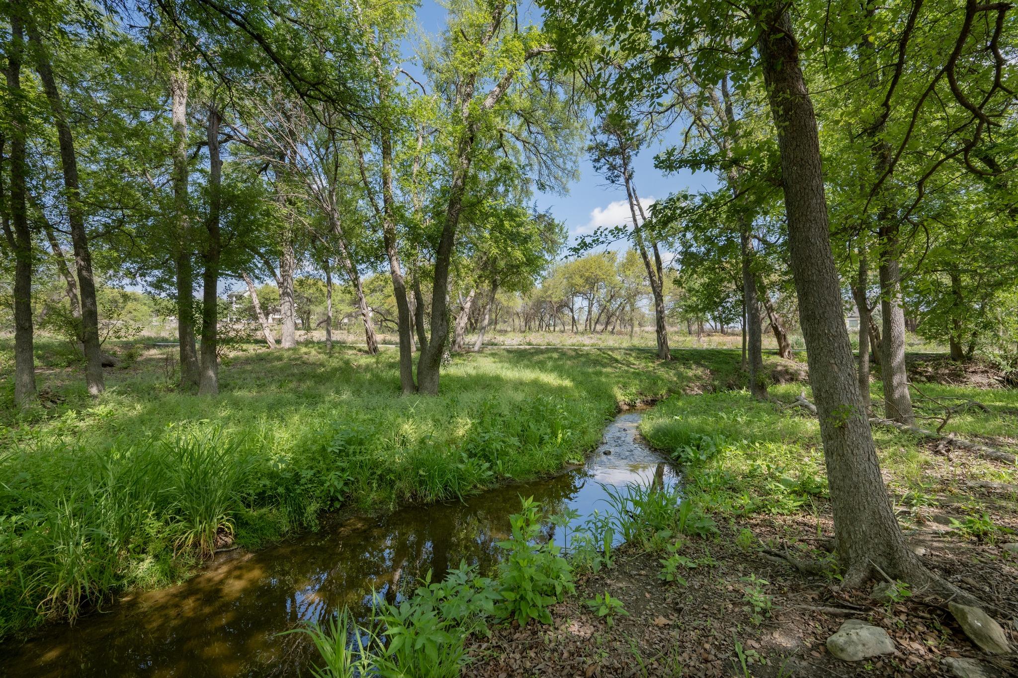 14324 Broadwinged Hawk Dr, Austin, TX 78738