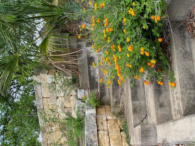 522 Circle Dr, Sunrise Beach, TX 78643