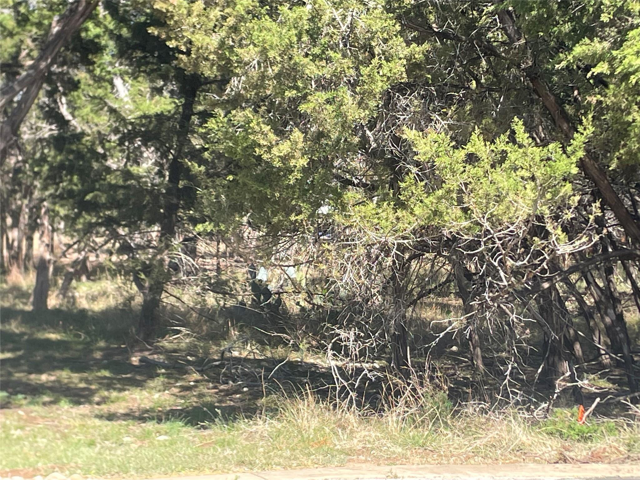 301 Augusta Cv, Lago Vista, TX 78645