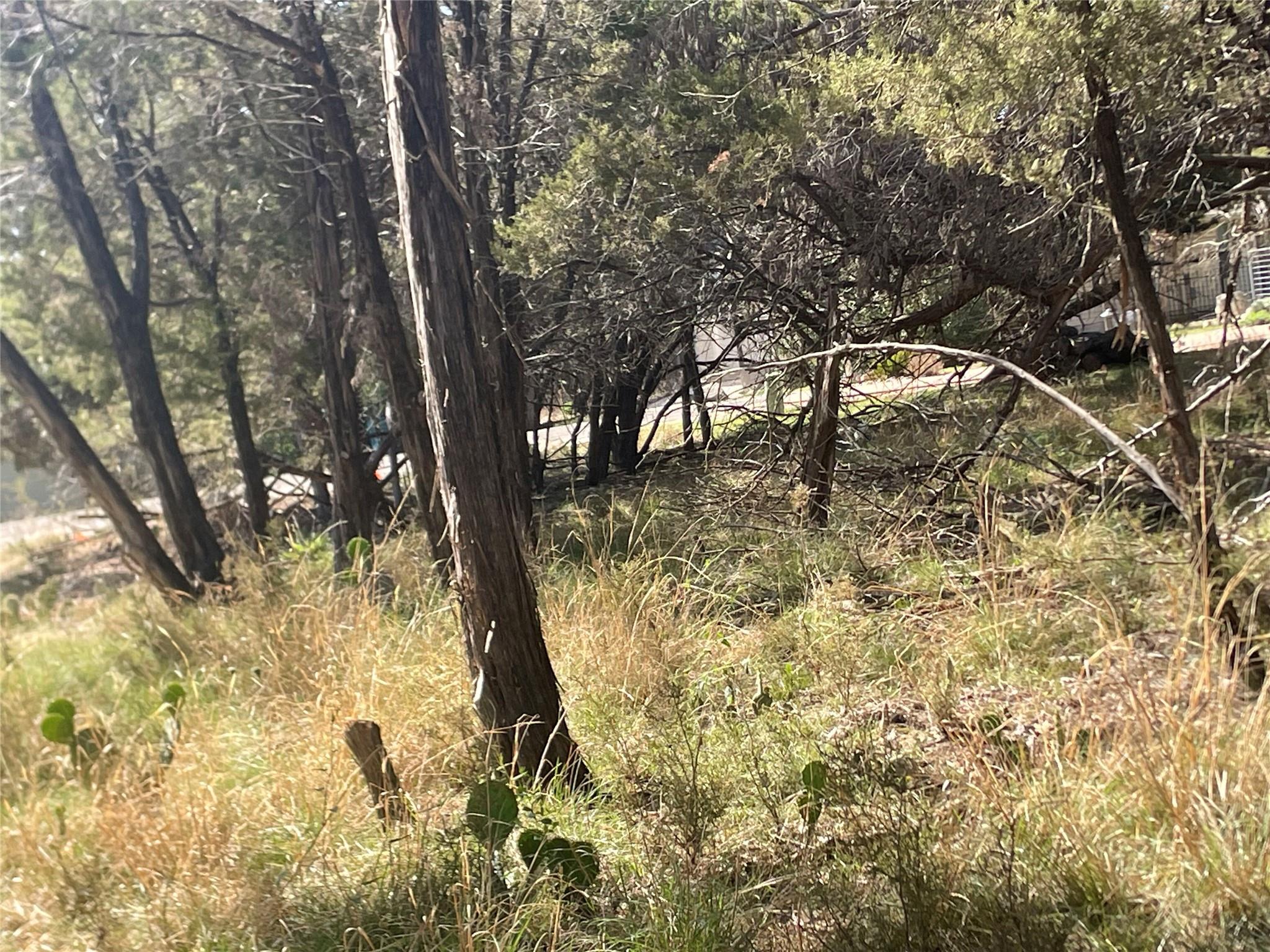 301 Augusta Cv, Lago Vista, TX 78645