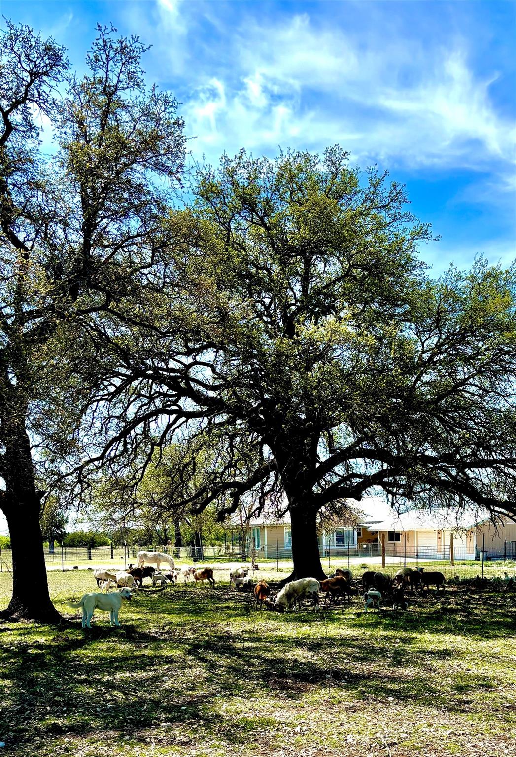 656 County Road 1301, Lampasas, TX 76550