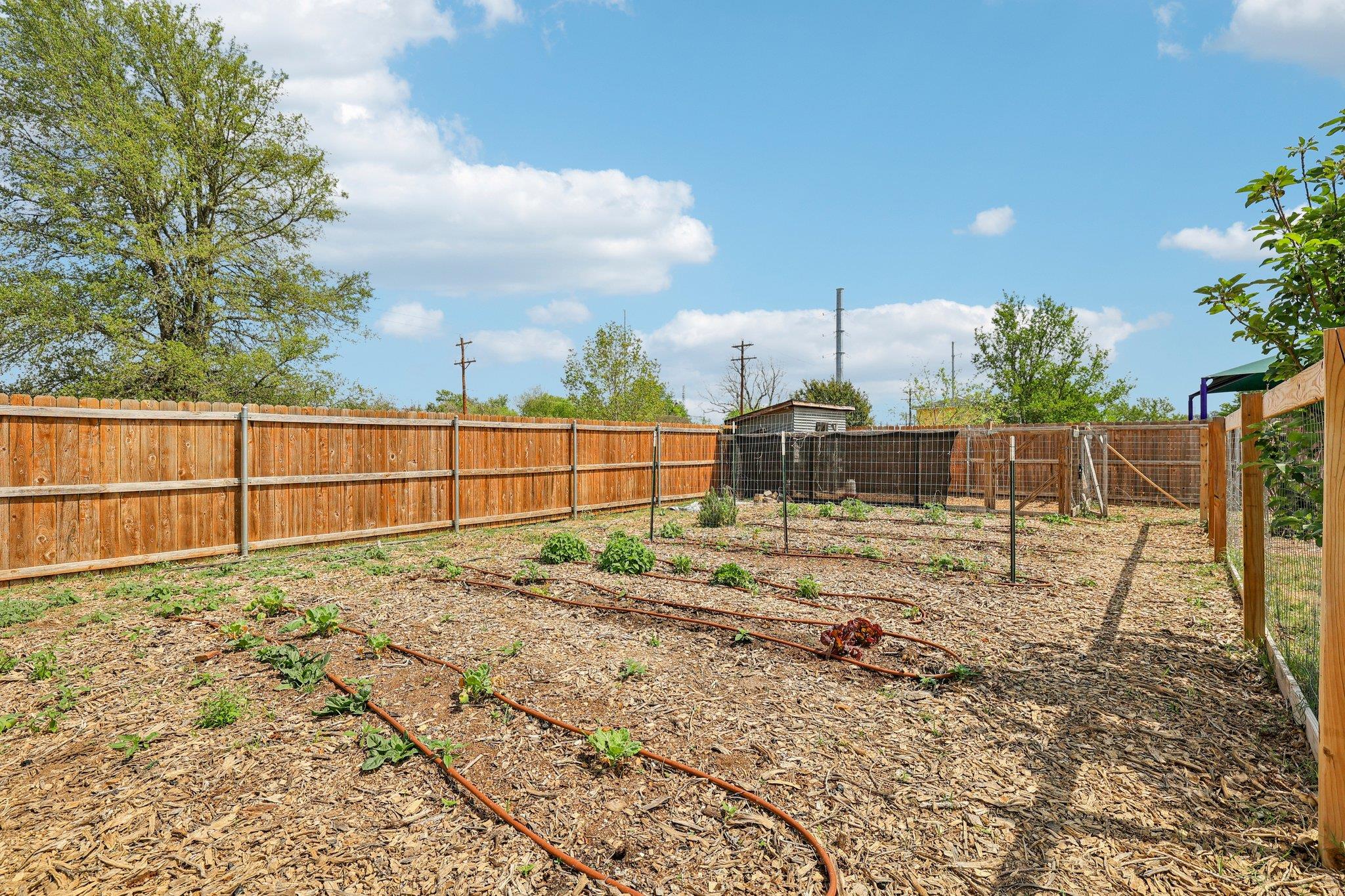 2415 Wilson St, Bastrop, TX 78602