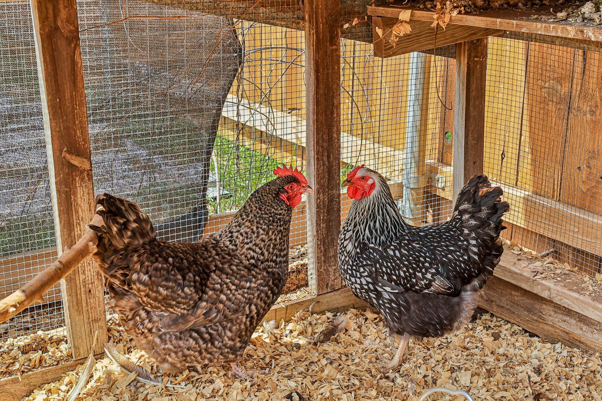 2415 Wilson St, Bastrop, TX 78602