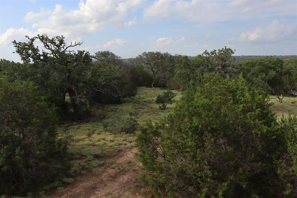 1619 Althaus Ranch Rd, Johnson City, TX 78636