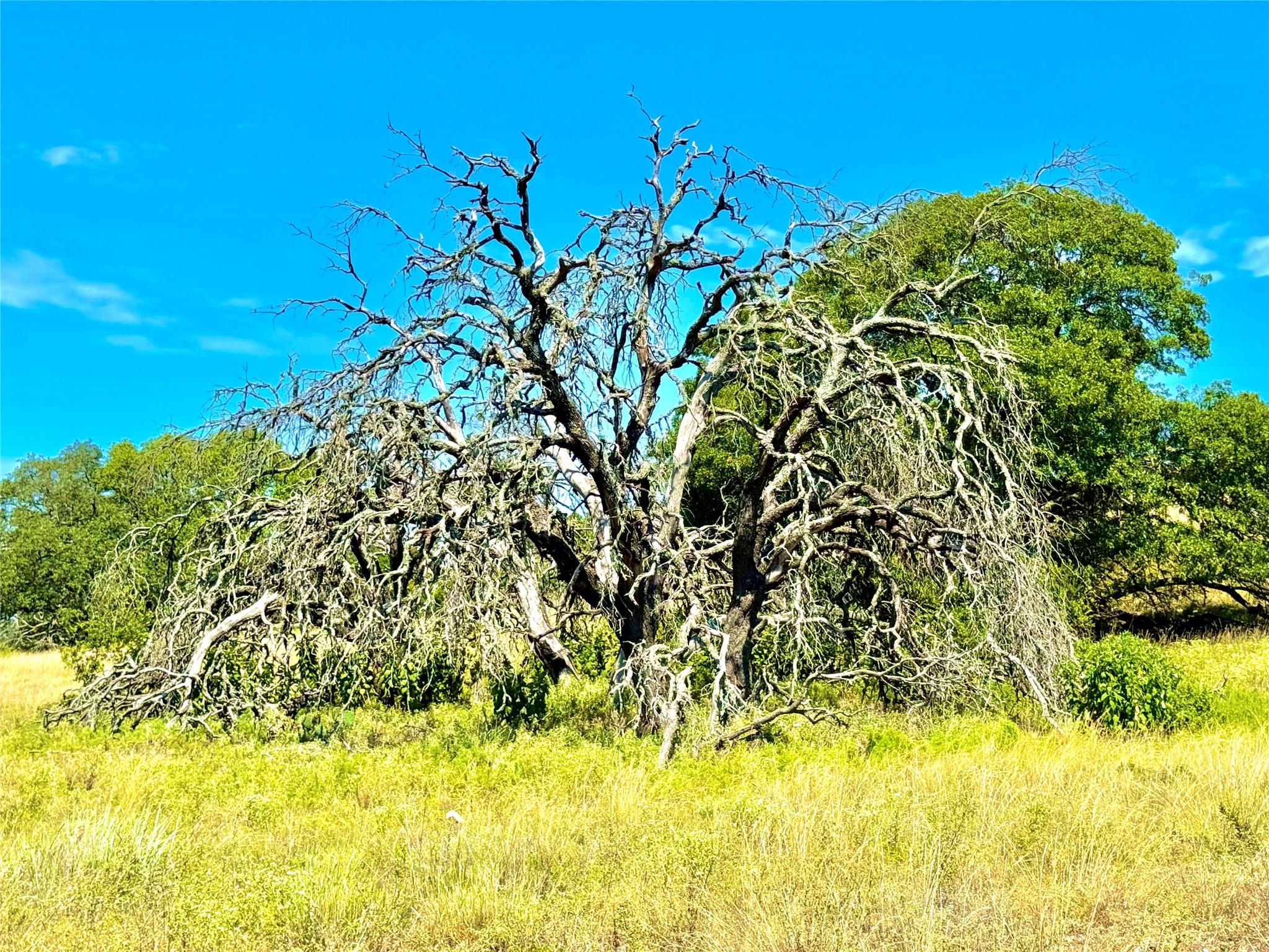 80 E FM 572, Goldthwaite, TX 76844