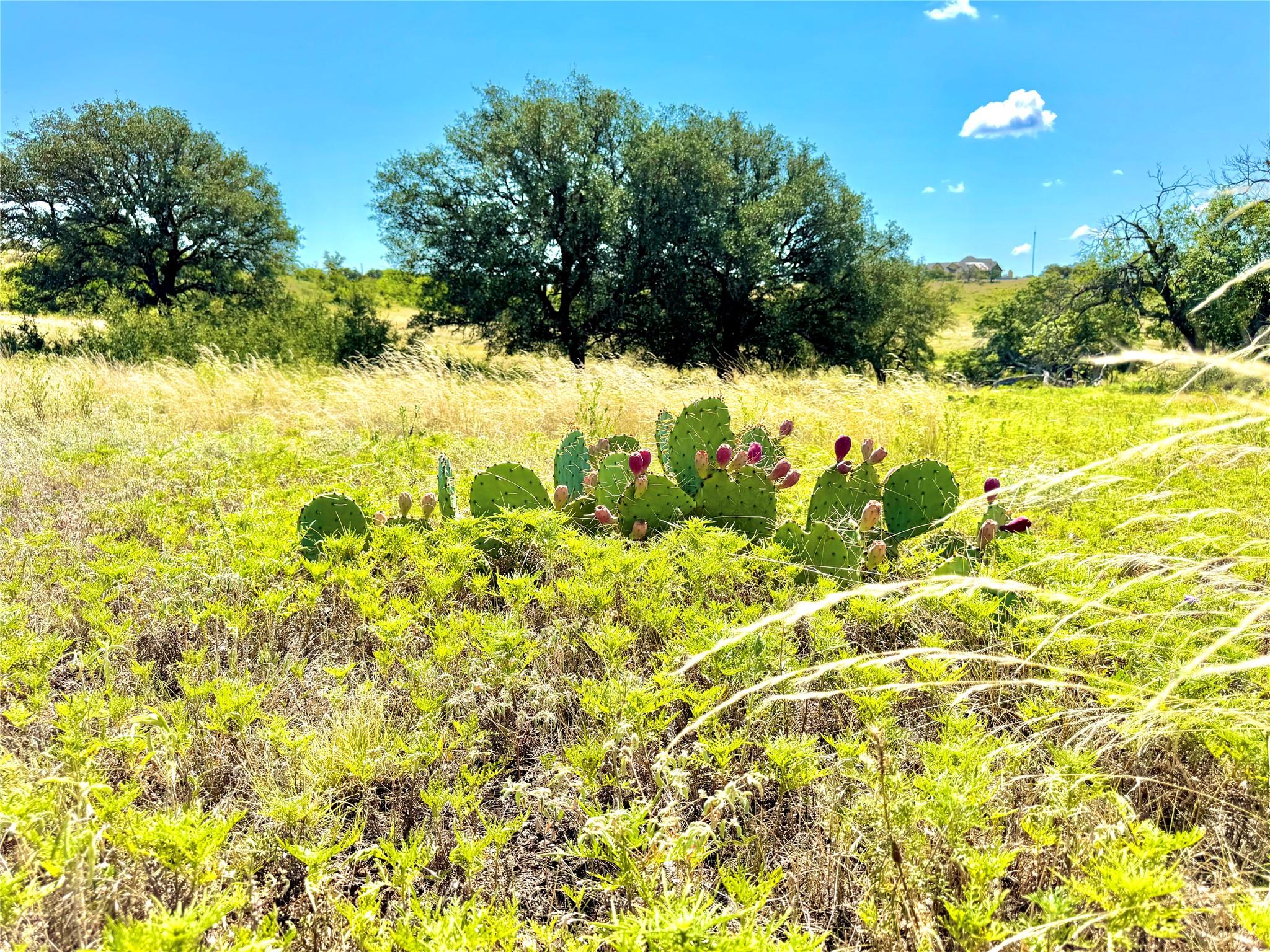 80 E FM 572, Goldthwaite, TX 76844