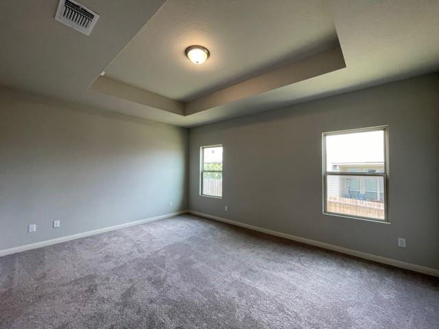 3629 Blue Cloud Dr, New Braunfels, TX 78130