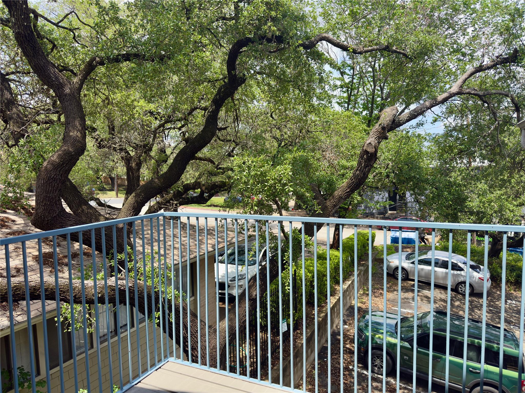 513 South Park Dr # 301, Austin, TX 78704