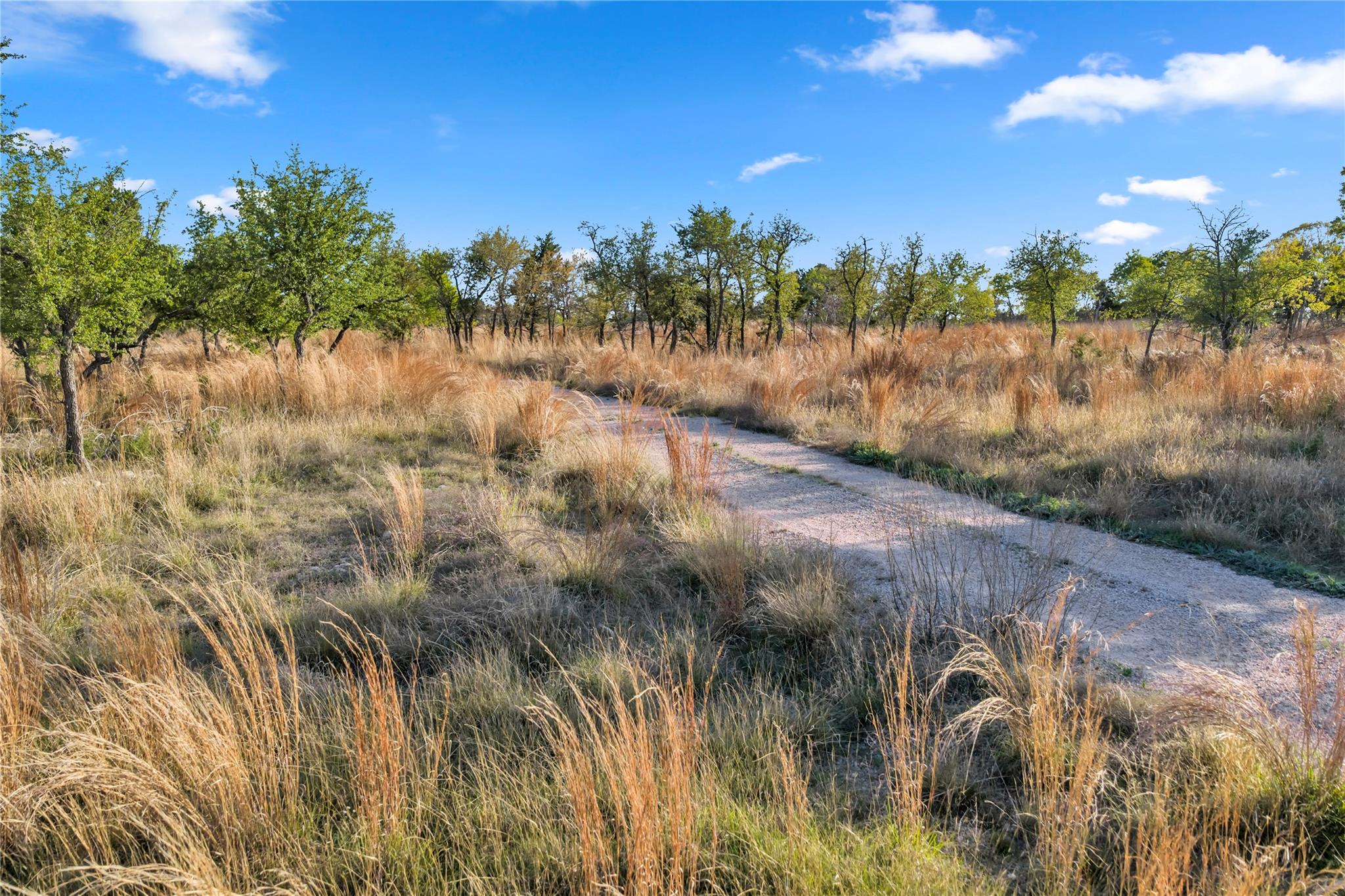 104 County Road 323A, Liberty Hill, TX 78642