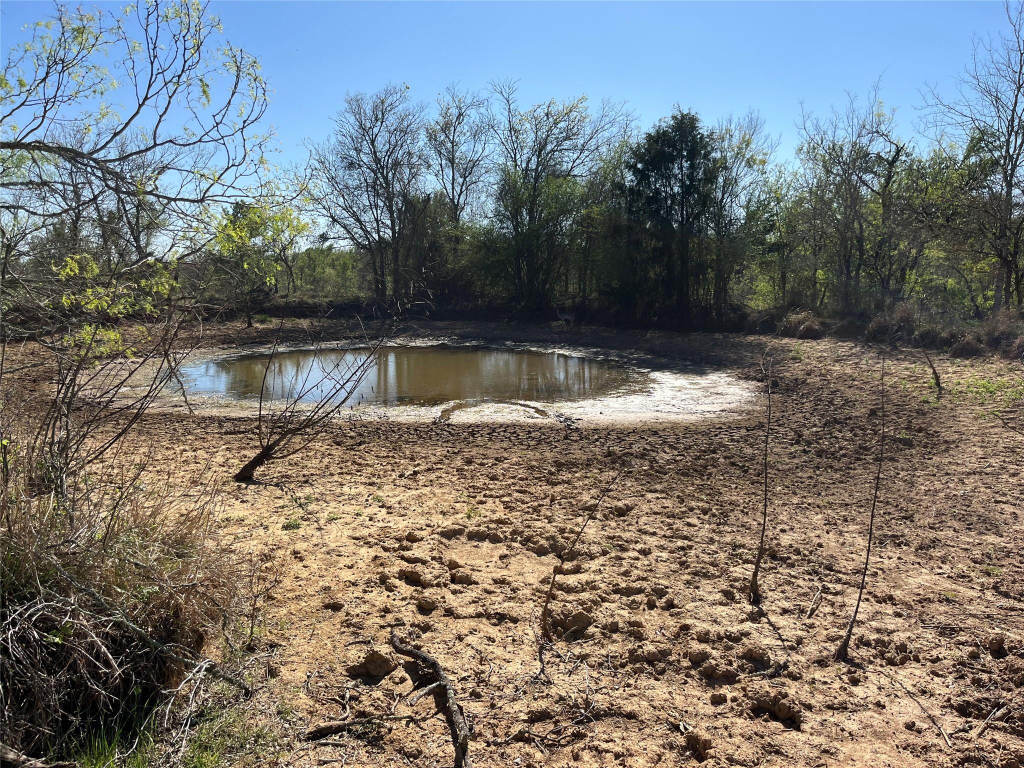 0000 FM 619, Thrall, TX 76578