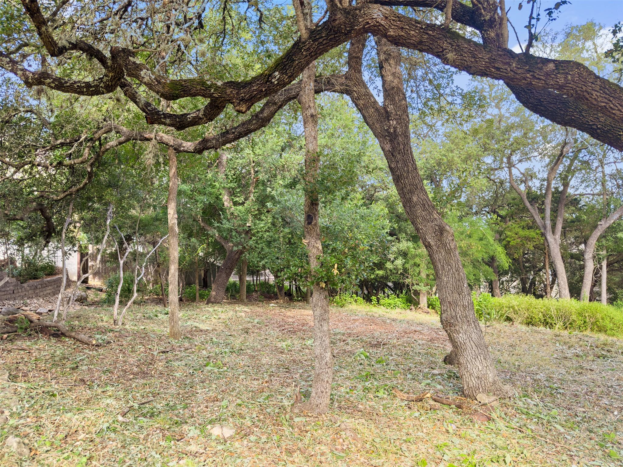 105 Yaupon Ct, San Marcos, TX 78666