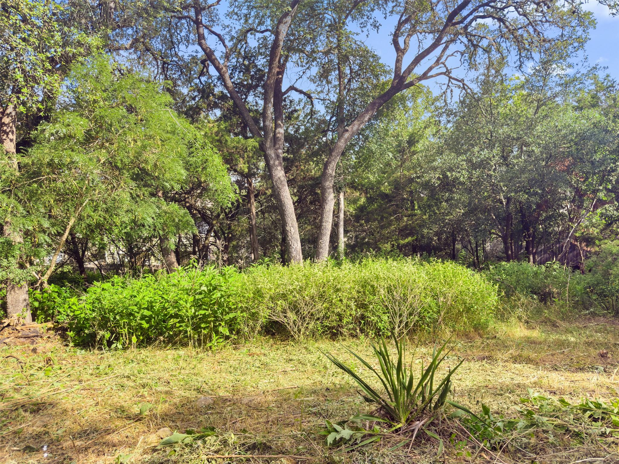 105 Yaupon Ct, San Marcos, TX 78666