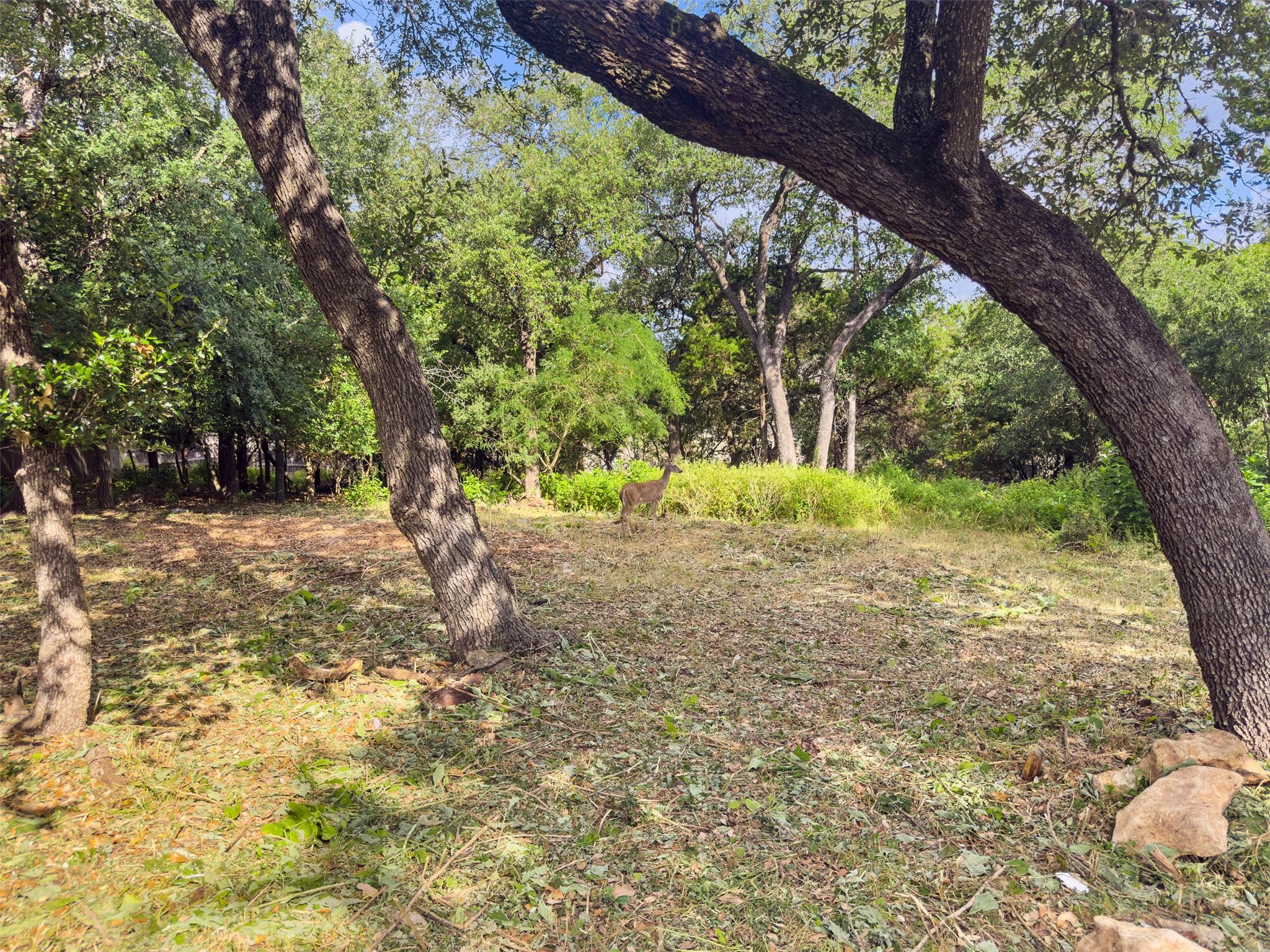 105 Yaupon Ct, San Marcos, TX 78666