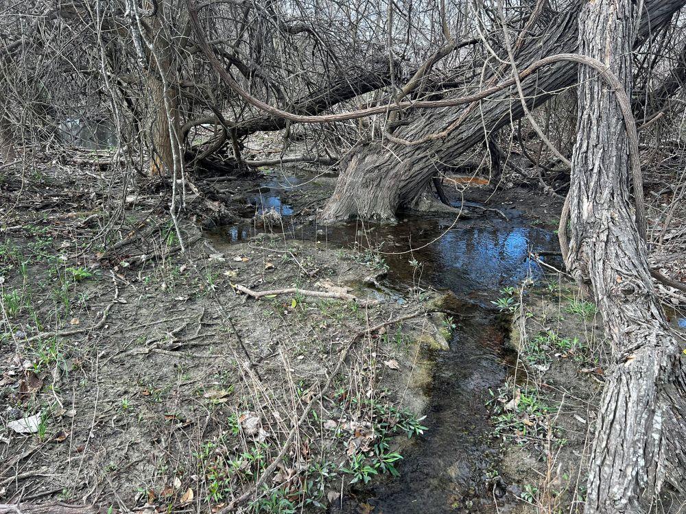 TBD County Road 196, Georgetown, TX 78626