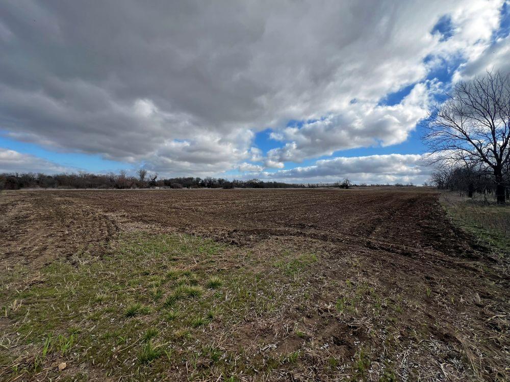 TBD County Road 196, Georgetown, TX 78626